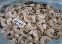 冷凍冰鮮品招商 攜手共贏，開啟海鮮財(cái)富新篇章